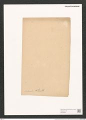 Pleurosigma nubecula W.Sm. (de-Toni-Nr.: Genus 13, Species 1006) Zeichnungen Sammlung Grunow (NHMW-BOT-W0368899)